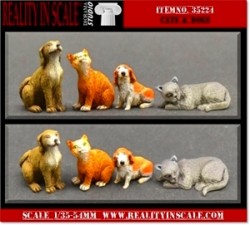 猫と犬