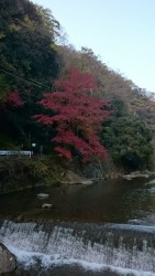 こうこう