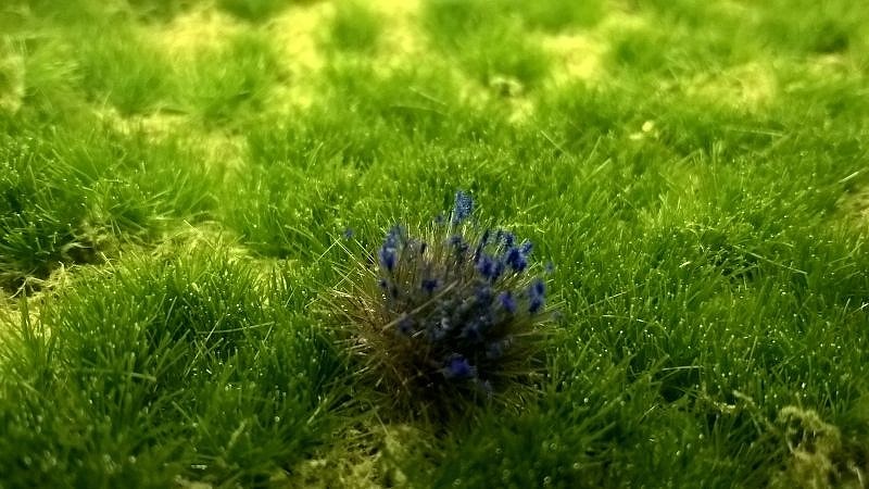 【新製品】187)青い花の草の束
