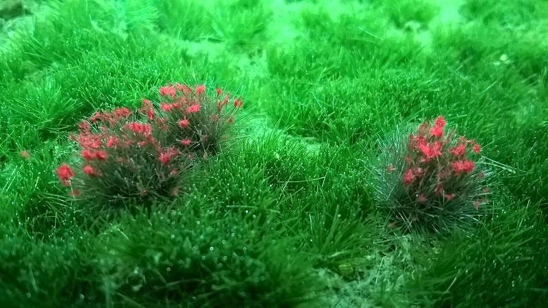 【新製品】188)赤い花の草の束