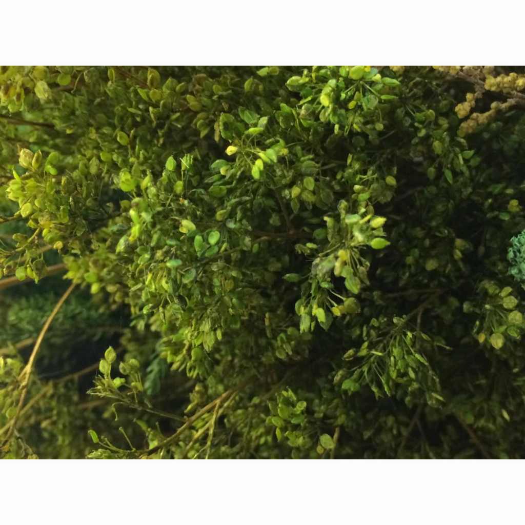 【新製品】191-7 ジオラマ素材 緑色系三色着色済み葉と枝セット