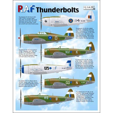 【新製品】[2009914802500] 48025)イギリス空軍 サンダーボルト