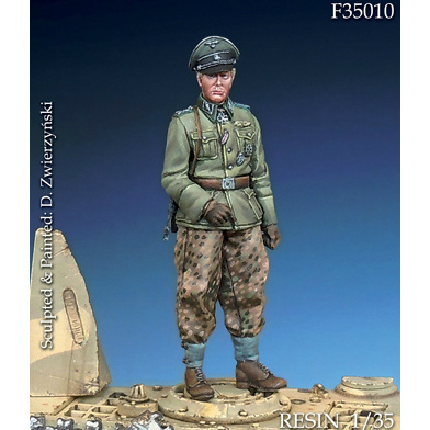 【新製品】DMF35010)WWII 独 武装親衛隊大佐
