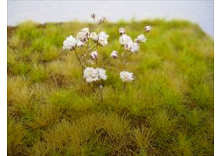 【新製品】[2013363300500] FLOW05)小さな白い自然の花(1)