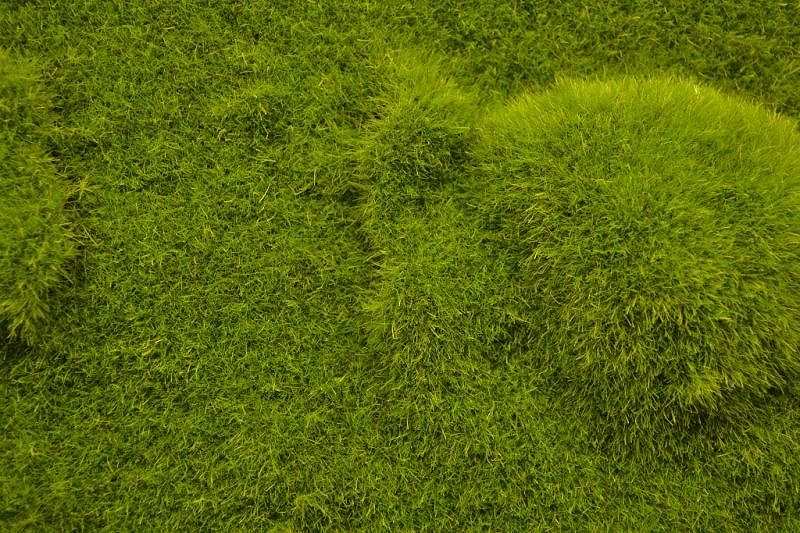 【新製品】MAT11)ランドスケープマット(起伏のある地面&背の揃った草原)