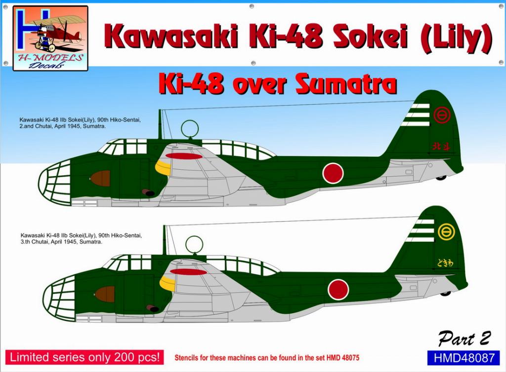 【新製品】HMD48087)九九式双発軽爆撃機 ｢スマトラ島上空パート2｣ (2機分)