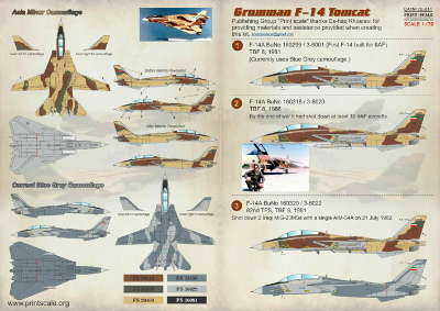 【再入荷】72211)イラン空軍 F-14 トムキャット