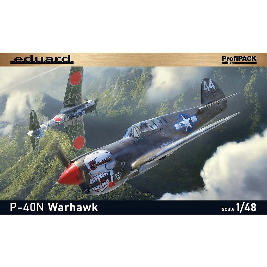 【新製品】82242 1/48 カーチス P-40N ウォーホーク プロフィパック