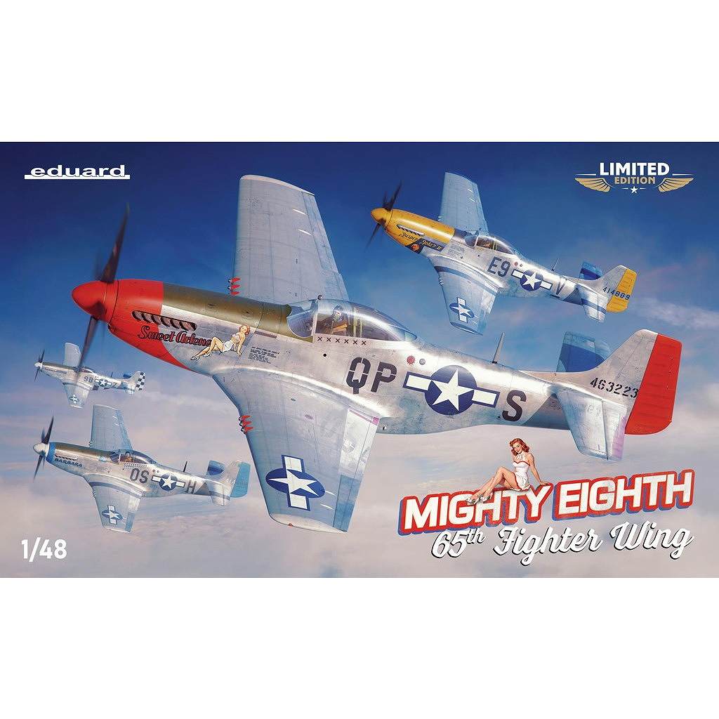 【新製品】11196 1/48 P-51D 
